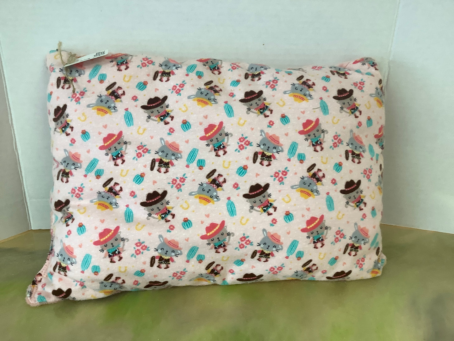 Western cat pillow