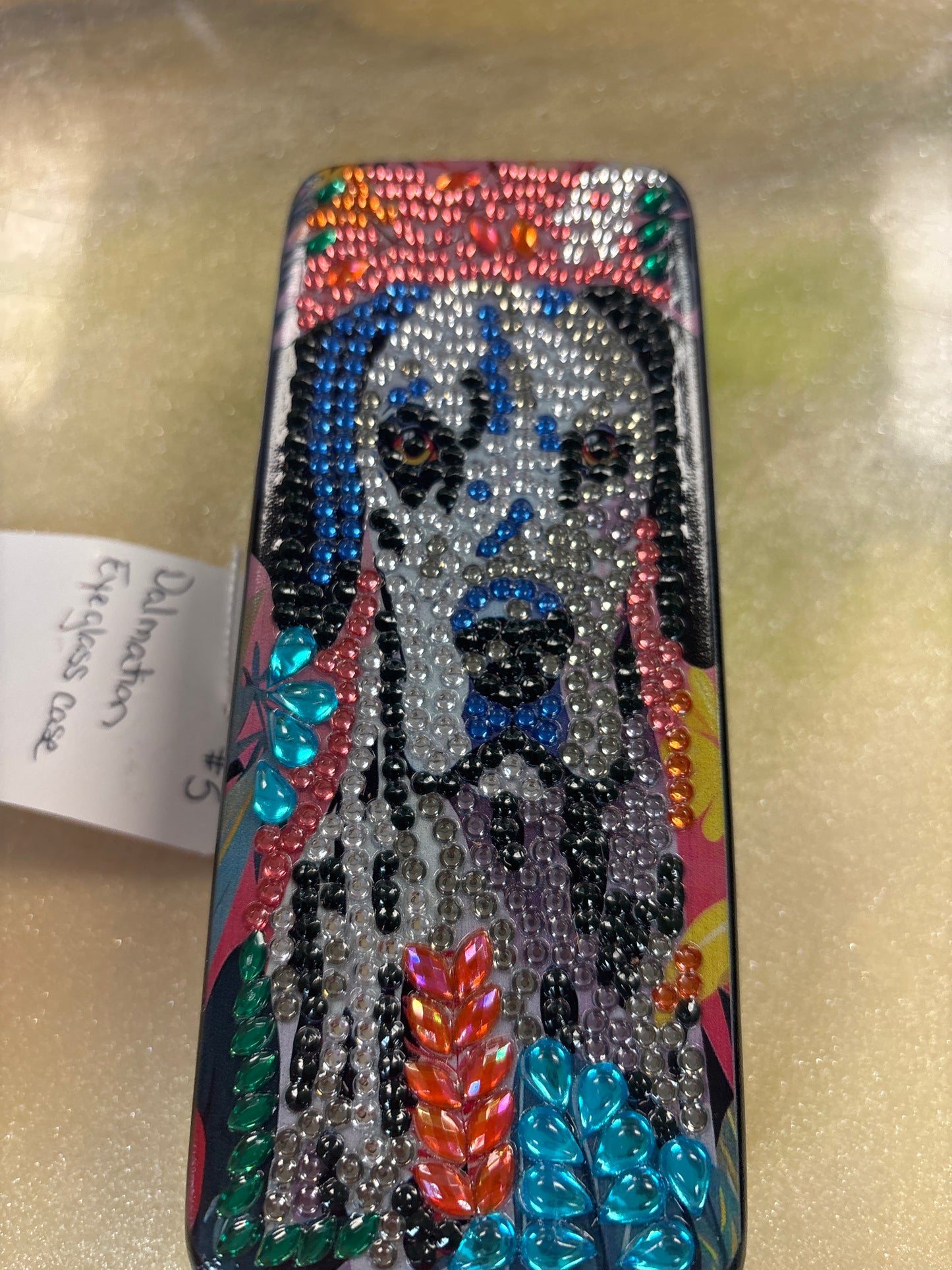 Eyeglass sunglasses case