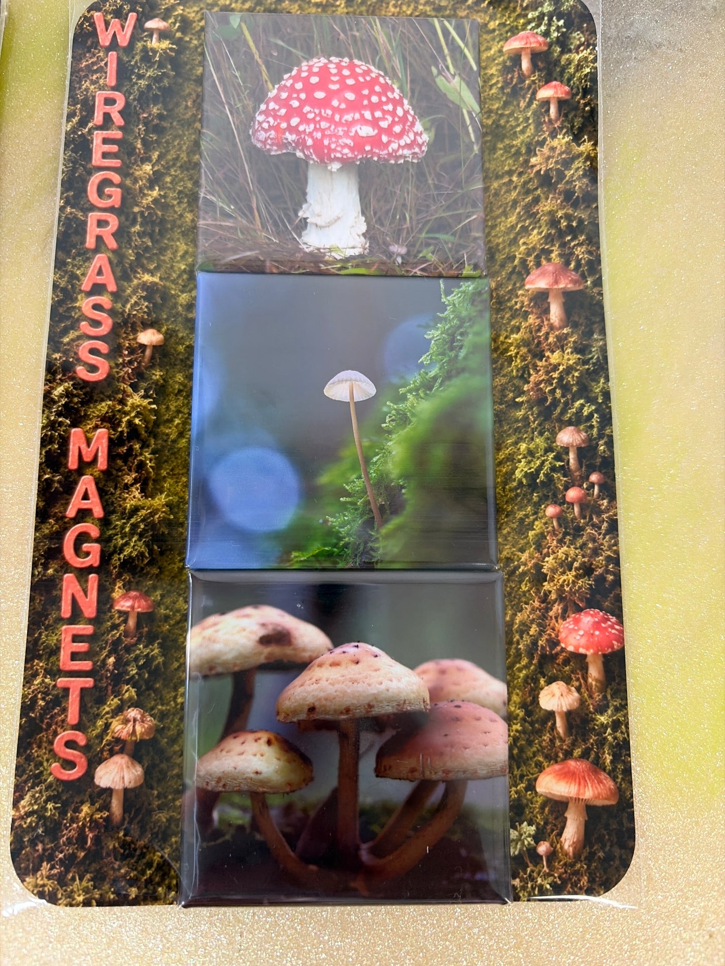 Magnet set