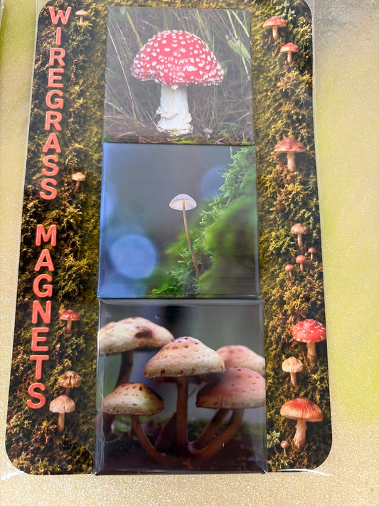 Magnet set