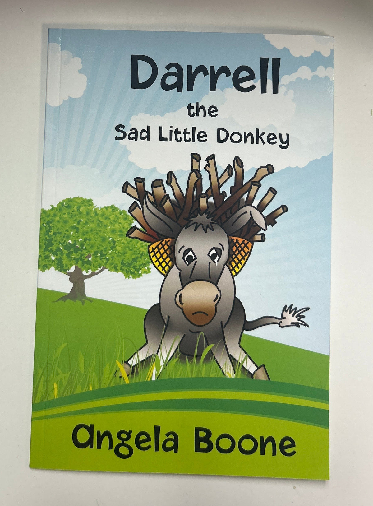 Books by Angela Boone
