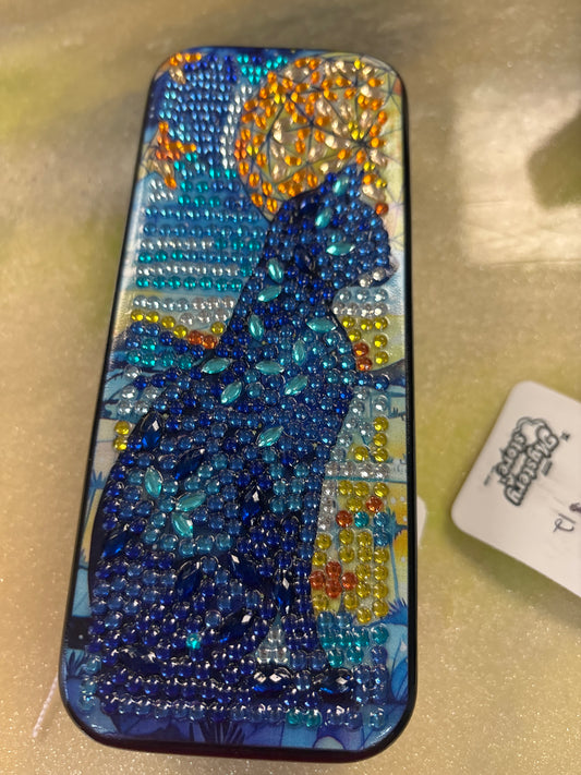 Eyeglass sunglasses case