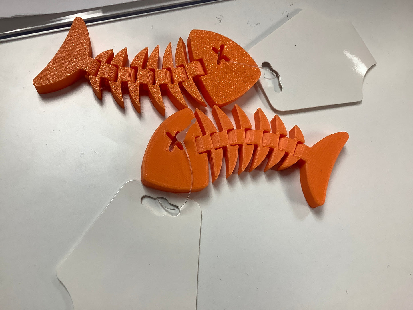 Articulated Fish