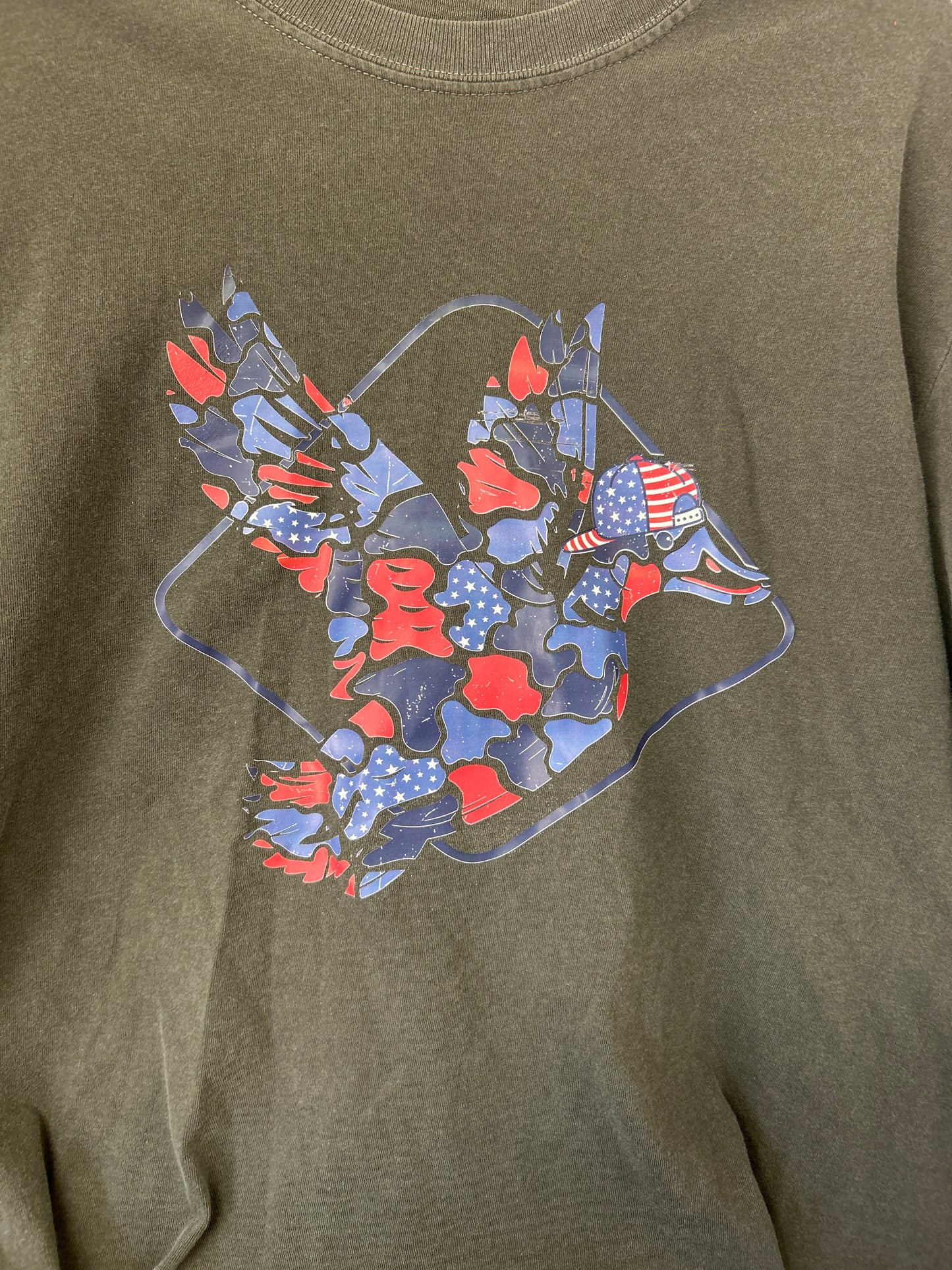 Adult T-Shirt